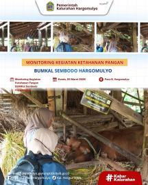 MONITORING KEGIATAN KETAHANAN PANGAN BUMKAL SEMBODO HARGOMULYO OLEH TIM KAPANEWON GEDANGSARI